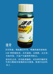 濰坊登峰 有機(jī)農(nóng)藥技術(shù)的創(chuàng)新高地與產(chǎn)品展廳